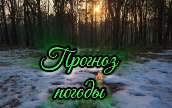 Оперативный ежедневный прогноз погоды на 4 марта 2026 года.